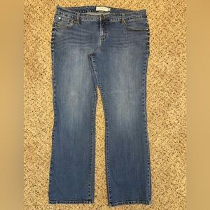 Torrid Women's Straight Leg Blue Jeans